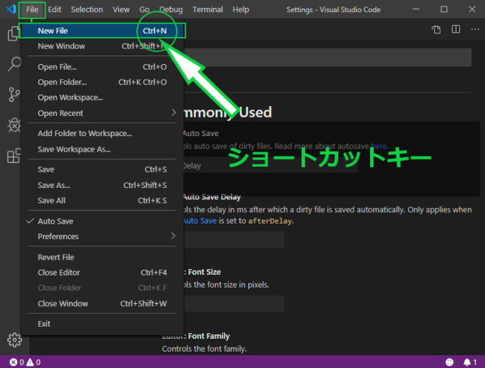 visual studio codeの画像